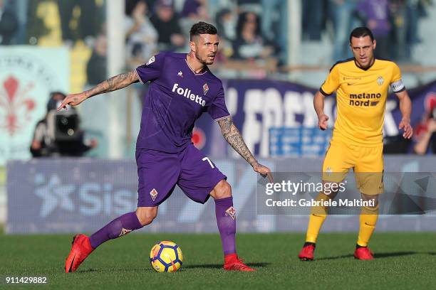 Cyril Thereau of ACF Fiorentina in action during the serie A match between ACF Fiorentina and Hellas Verona FC at Stadio Artemio Franchi on January...