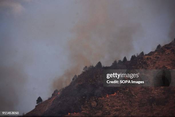 Smoke seen rising from the Zabarwan mountains in Srinagar, Indian administered Kashmir. A major fire engulfed in the Zabarwan range at Brein Nishat...