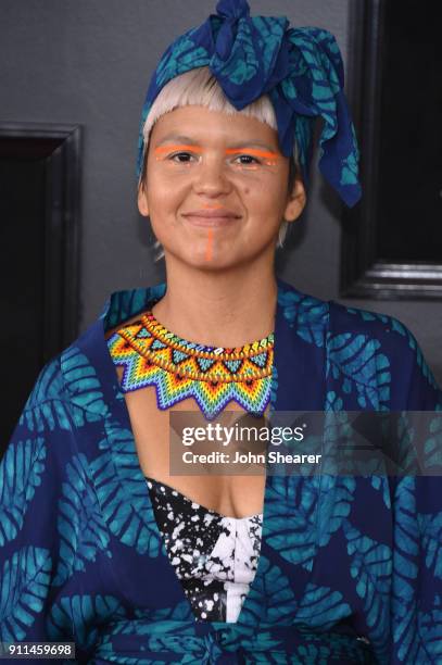 Recording Artist Liliana Saumet attends the 60th Annual GRAMMY Awards at Madison Square Garden on January 28, 2018 in New York City.