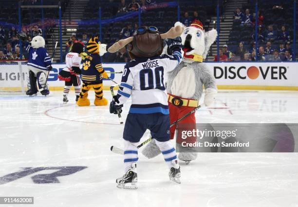 Mick E. Moose of the Winnipeg Jets celebrates with Harvey the Hound of the Calgary Flames during the PreGame & Mascot Showdown at Amalie Arena on...