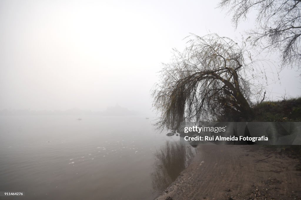 Beautiful dawn on the banks of the river