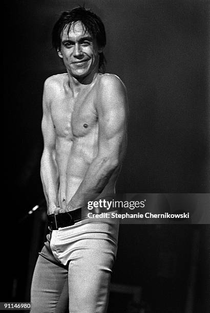 Photo of Iggy POP, circa 1980.