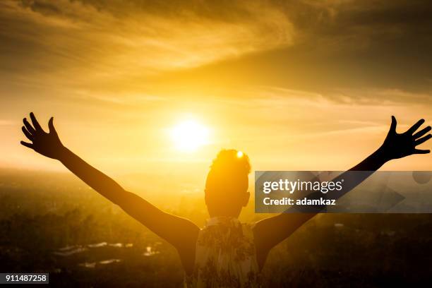 zwarte meisje verhogen armen over vallei in de zonsondergang - yes stockfoto's en -beelden