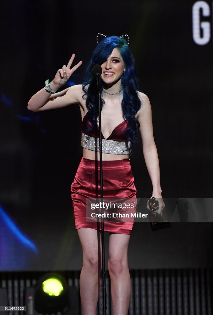 2018 Adult Video News Awards - Show