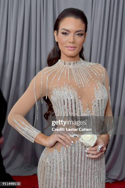 Actor Zuleyka Rivera attends the 60th Annual GRAMMY Awards at Madison Square Garden on January 28, 2018 in New York City.