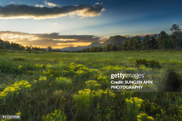 rocky mountain national park - sungjin ahn stock-fotos und bilder