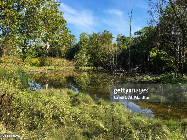 scenic - michigan summer stock pictures, royalty-free photos & images