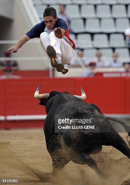 Recortador" jumps over a bull during a bullfight show at the Plaza Monumental bullring in Barcelona, on September 25, 2009. AFP PHOTO/LLUIS GENE