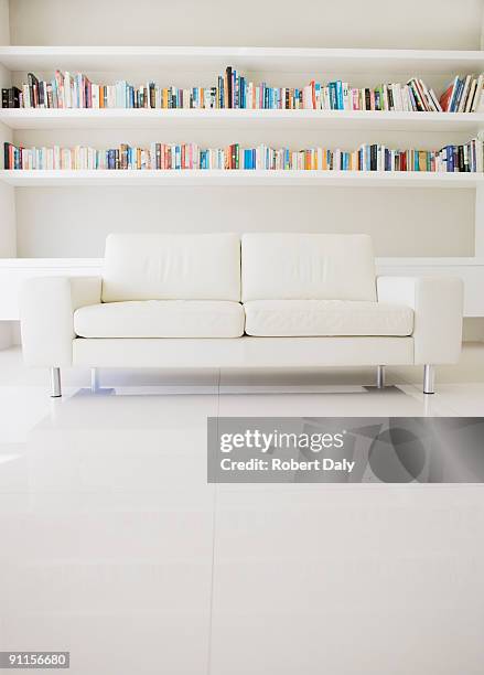 modern sofa and shelves in living room - tweezits bankje stockfoto's en -beelden