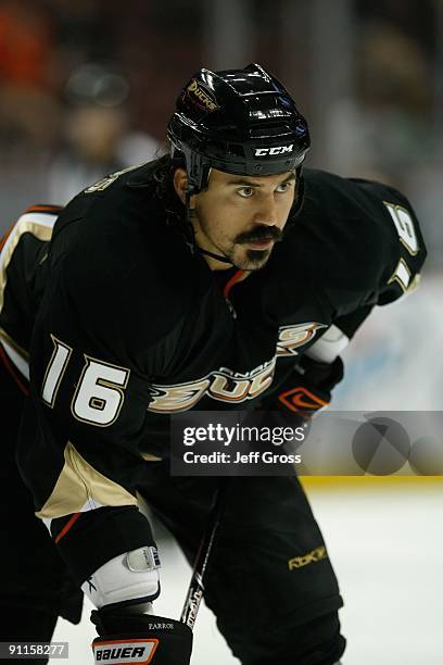 George Parros of the Anaheim Ducks waits to face off during the preseason game against the San Jose Sharks at the Honda Center on September 21, 2009...