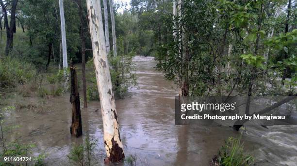 rainy season - queensland storm stock pictures, royalty-free photos & images