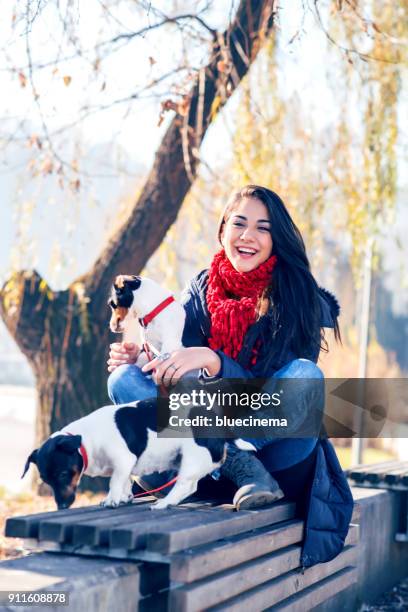 kvinna delar en vacker stund med hans hundar. - bench park bildbanksfoton och bilder