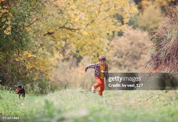 cute little boy chasing with his puppy - boy running with dog stock-fotos und bilder