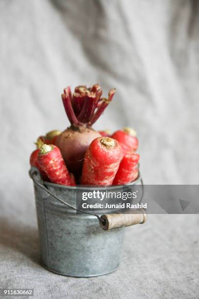 red organic fresh carrots and beet in a miniature basket - carotine stock-fotos und bilder
