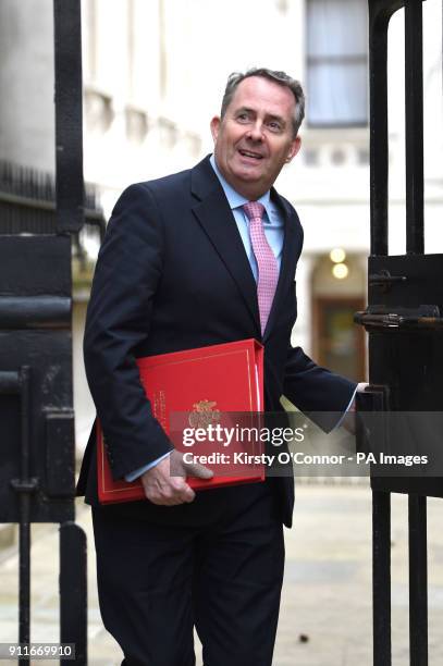 International Trade Secretary Liam Fox arriving in Downing Street, London, for a political Cabinet meeting.