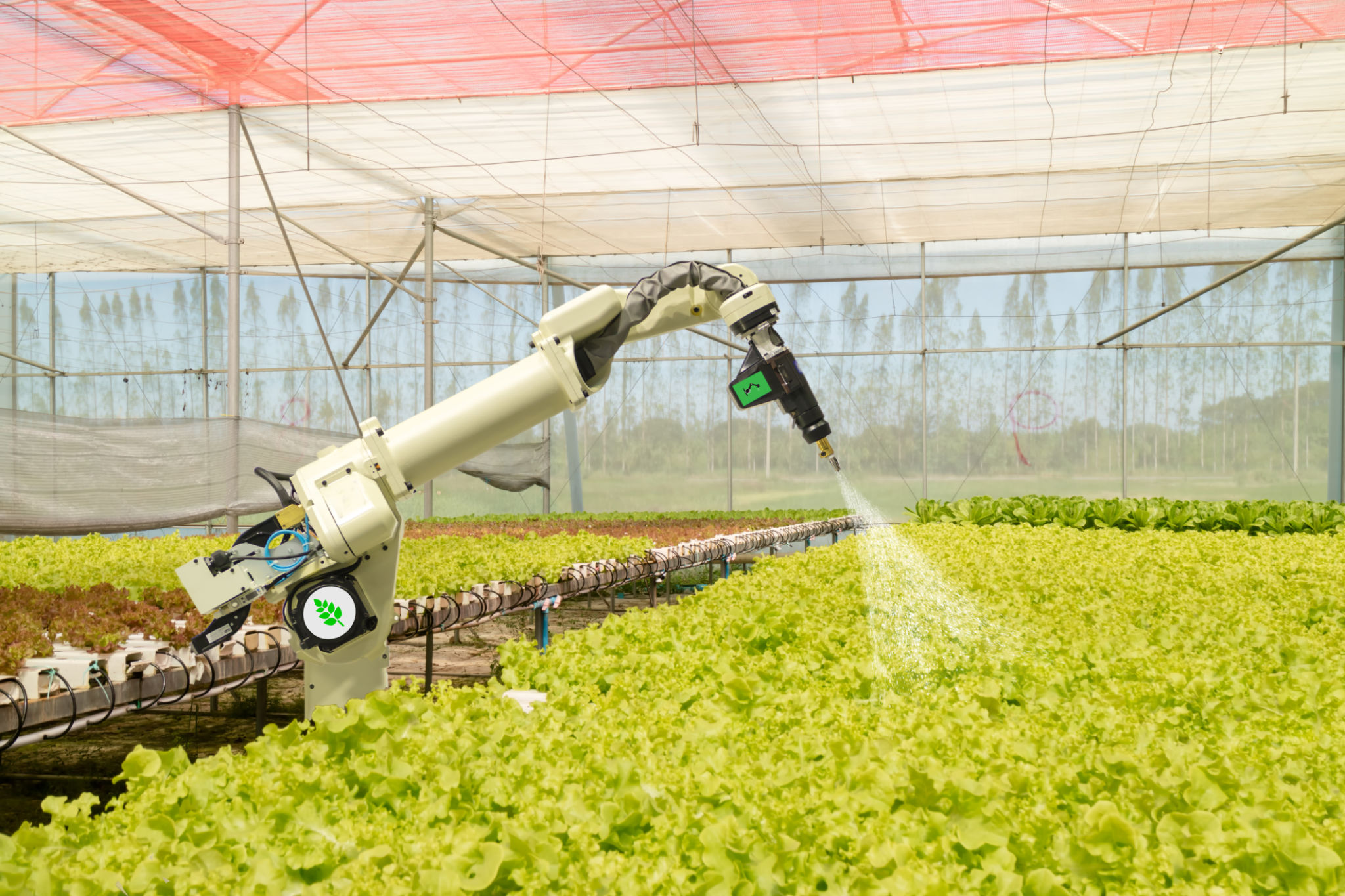 smart robotic in agriculture futuristic concept, robot farmers (automation) must be programmed to work to spray chemical,fertilizer or increase efficiency, growing a seed, harvesting, reduce time smart robotic in agriculture futuristic concept, robot farmers (automation) must be programmed to work to spray chemical,fertilizer or increase efficiency, growing a seed, harvesting, reduce time