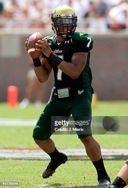 Quarterback B.J. Daniels of the South Florida Bulls looks for an open receiver against the Florida State Seminoles during the game at Doak Campbell...