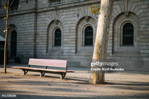 a bench by a platan tree in barcelona, spain - holy city park bildbanksfoton och bilder