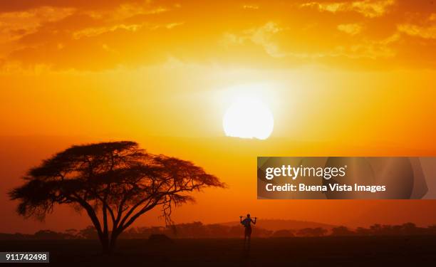 masai shepherd watching sunset - africa landscape stockfoto's en -beelden
