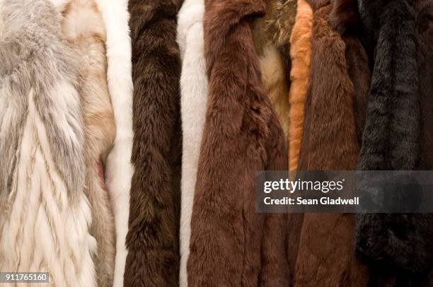 fur coats - hairy old man stock-fotos und bilder