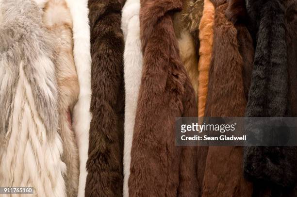 fur coats - fur coat stock pictures, royalty-free photos & images