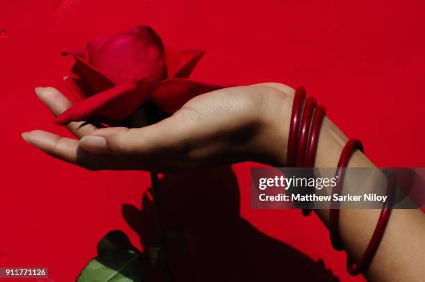 Matthew Rosa Background 1,163 Matthew Rosa Stock Photos, High-Res Pictures, and Images - Getty ...