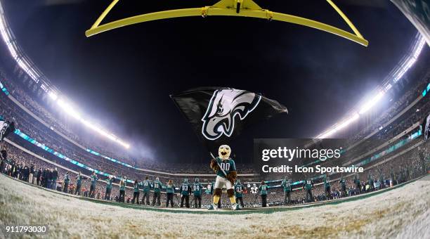 General view of a goal post and the Philadelphia Eagles mascot Swoop waves the Eagles flag at the Lincoln Financial Field is seen during the NFC...