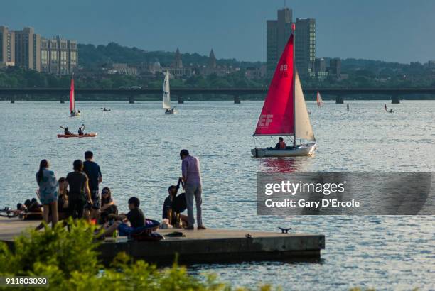 boston esplanade summer - charles river esplanade stock pictures, royalty-free photos & images