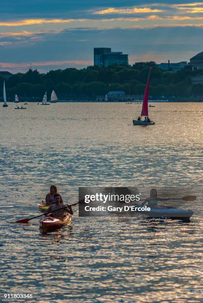 boston esplanade summer - charles river esplanade stock pictures, royalty-free photos & images