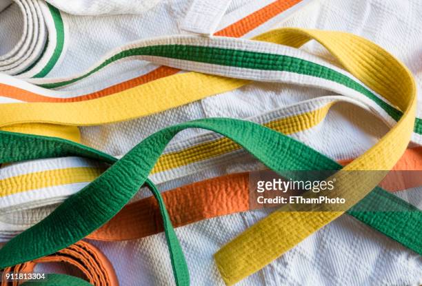 variety of karate belts in different colors - grüner gürtel sport stock-fotos und bilder