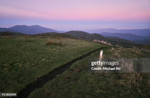 the appalachian trail footpath in soft golden hour light passes through a green meadow of max patch at dusk - appalachian trail stock pictures, royalty-free photos & images