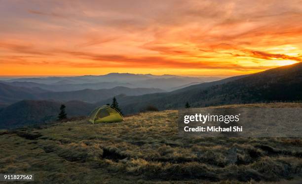 vibrantly colorful vista of a small green tent camps on a grassy bold meadow of the appalachian trail in the golden dusk with blue misty mountains in the background. - appalachian trail fotografías e imágenes de stock