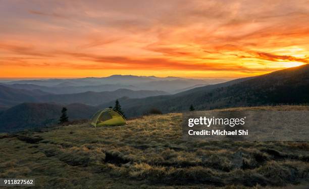 vibrantly colorful vista of a small green tent camps on a grassy bold meadow of the appalachian trail in the golden dusk with blue misty mountains in the background. - appalachian trail stock pictures, royalty-free photos & images