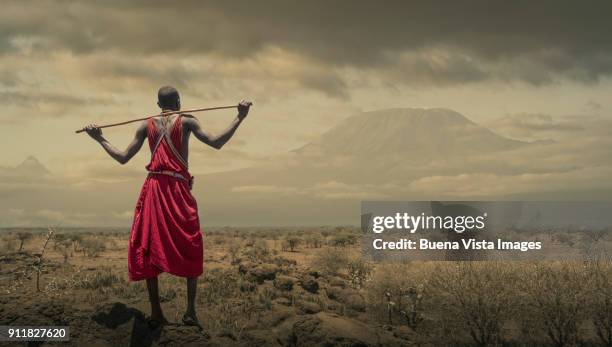 masai man watching kilimanjaro. - masaï stockfoto's en -beelden