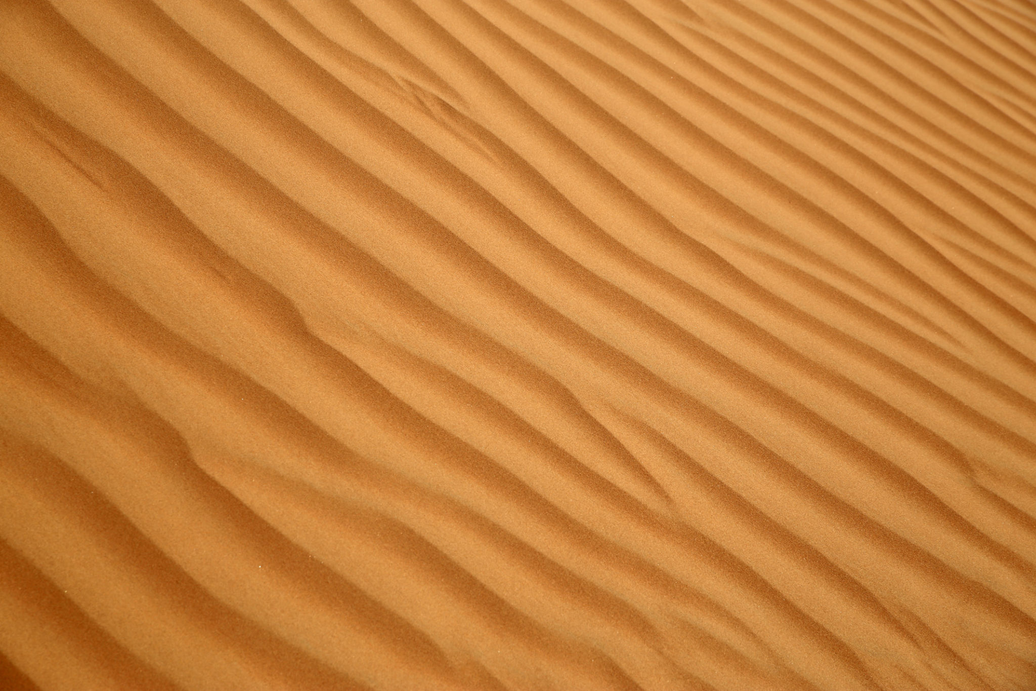 Omani desert