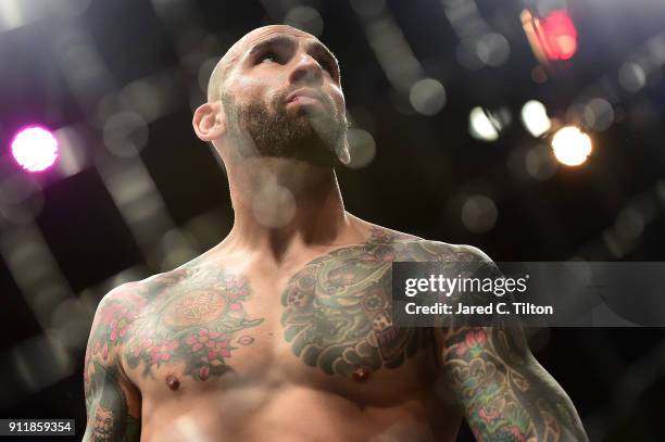 George Sullivan 288 George Sullivan (Fighter) Stock Photos, High-Res Pictures, and ...