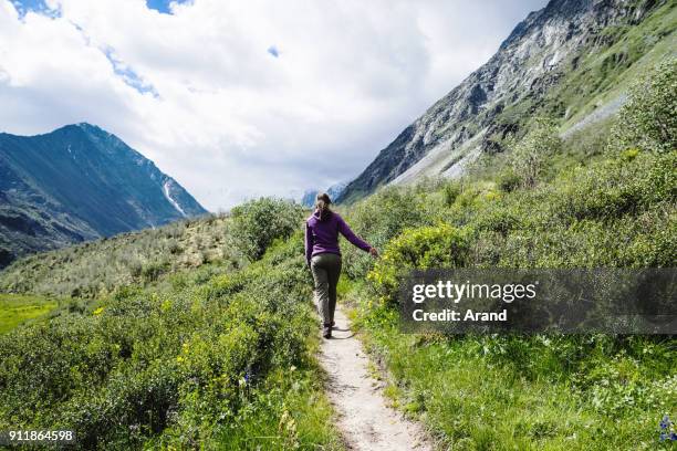 ハイキング若い女性 - altai mountains ストックフォトと画像