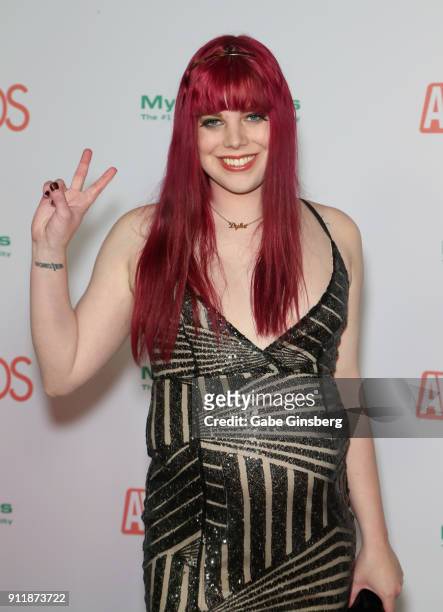 Adult film actress Chelsea Poe attends the 2018 Adult Video News Awards at the Hard Rock Hotel & Casino on January 27, 2018 in Las Vegas, Nevada.