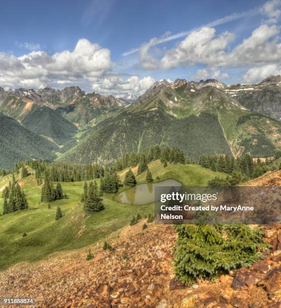 Talus Tree Scope 507 Talus Bone Stock Photos, High-Res Pictures, and Images - Getty Images