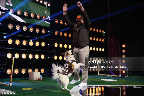 Cleveland Browns guard Kevin Zeitler and his dog Amber compete to be crowned the MVP: MOST VALUABLE PERFORMER during a one-hour interactive talent...