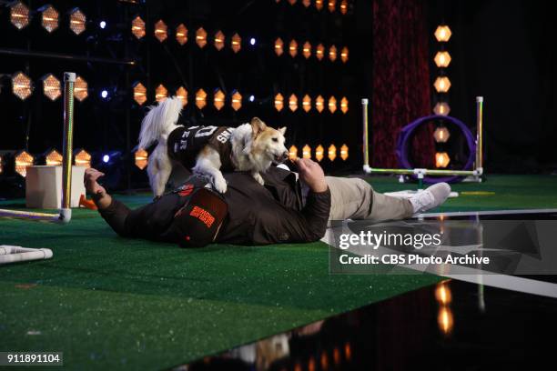 Cleveland Browns guard Kevin Zeitler and his dog Amber compete to be crowned the MVP: MOST VALUABLE PERFORMER during a one-hour interactive talent...