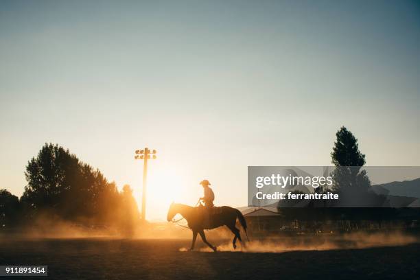 cowboy horseback riding at rodeo arena - rodeo stock pictures, royalty-free photos & images