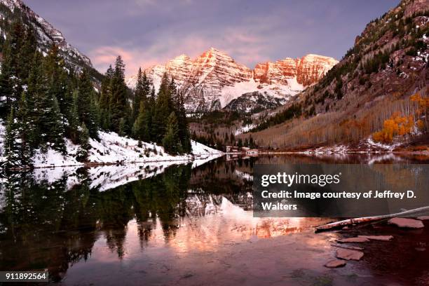 maroon bells at dawn - aspen tree bildbanksfoton och bilder