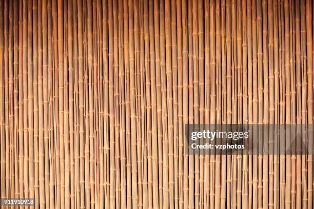 Organic Bamboo background