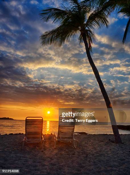 silhouette of palm trees beach chairs at sunset, anaehoomalu bay - anaehoomalu bay stockfoto's en -beelden