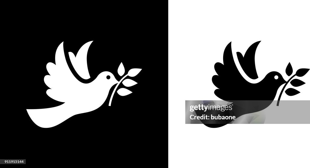 Dove Bird  Symbol Of Peace.