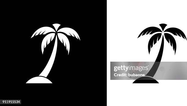 palm tree s - palme stock-grafiken, -clipart, -cartoons und -symbole