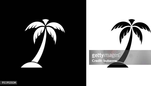 palm tree. - palm tree vector stock illustrations