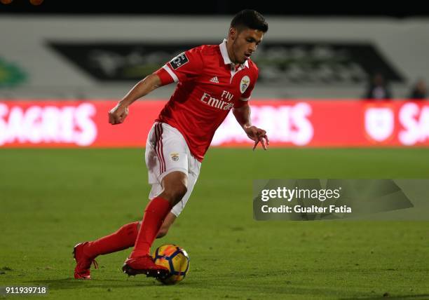 Benfica forward Raul Jimenez from Mexico in action during the Primeira Liga match between CF Os Belenenses and SL Benfica at Estadio do Restelo on...