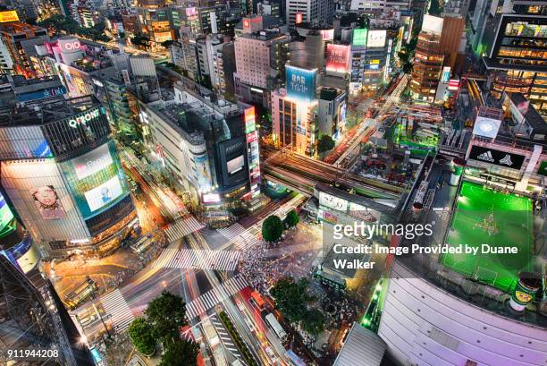 shibuya scramble crossing, tokyo - 渋谷区 ストックフォトと画像